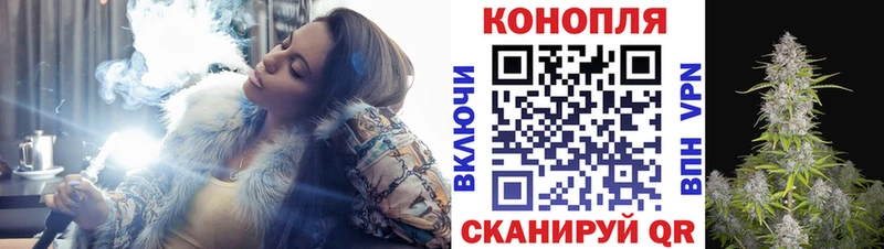 Конопля SATIVA & INDICA  дарнет шоп  Кострома 